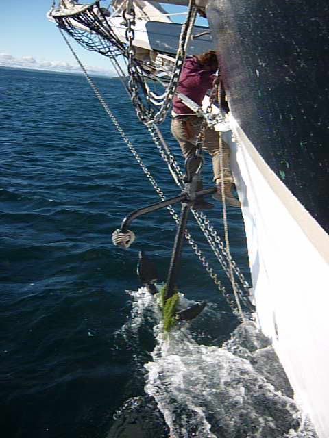 Cheyenne goes over the rail to guide the anchor
