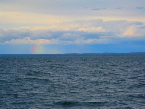 Rainbow spotted in the late afternoon