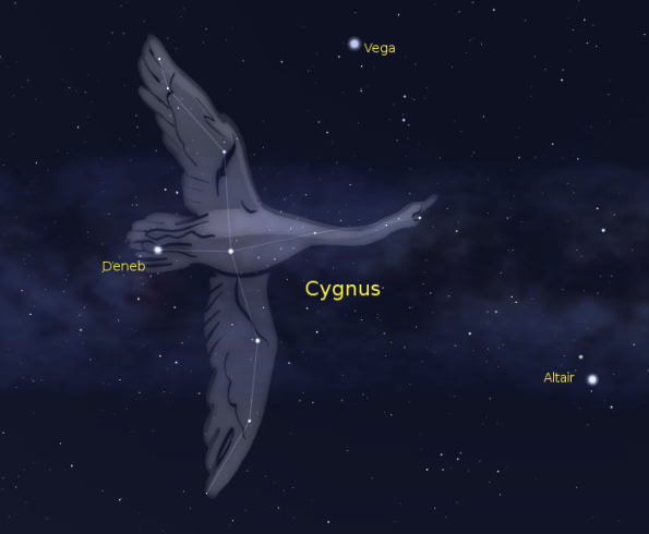 CygnusTheSwan Created using Stellarium.