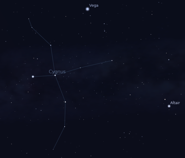 Cygnus and the stars of the Summer Triangle at 11 p.m. on July 19th.  Created using Stellarium.