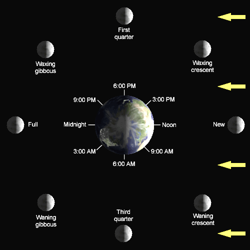 Lunar phase diagram.  From Wikimedia Commons.