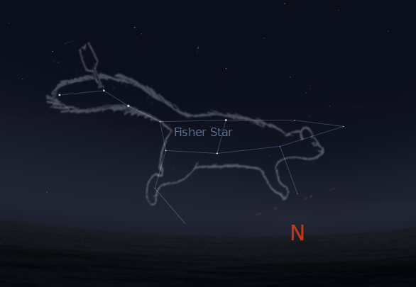 The Fisher heads towards the northern horizon.  Created using Stellarium and an unknown artist which I took liberties with.