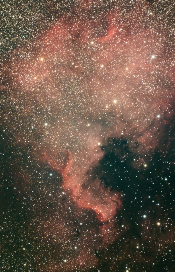 Better view of the North American Nebula taken by Scott Anttila.