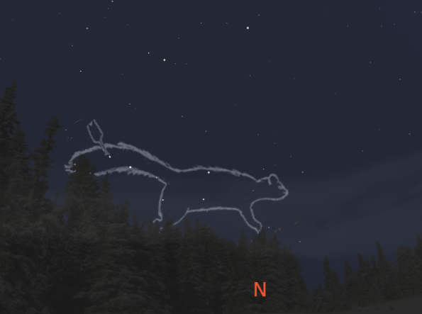 The Fisher Star in Autumn painting the leaves with his tail.  Created using Stellarium and other sources/