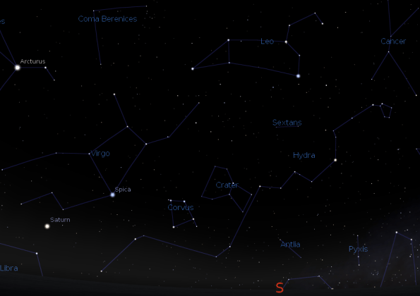 Hydra the water snake