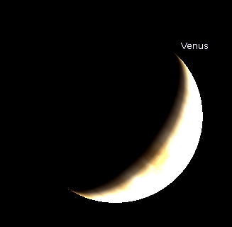 Venus in a telescope