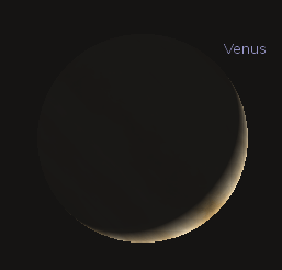 Telescopic Venus