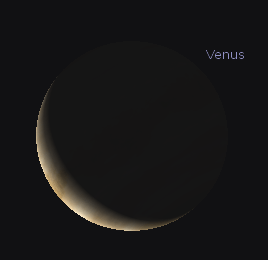 Telescopic Venus