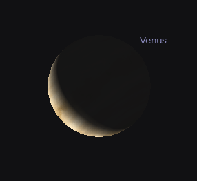 Telescopic Venus