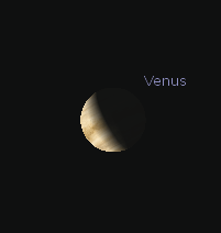 Venus