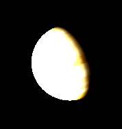 Telescopic Venus