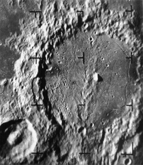 Ranger image 1