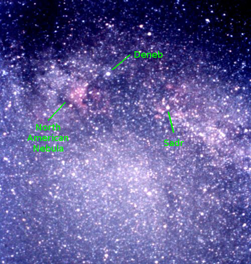 Deneb & North American Nebula