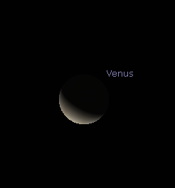 Telescopic Venus