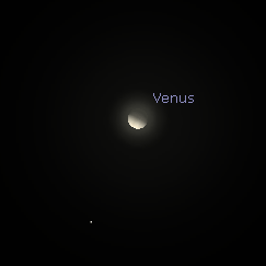Telescopic Venus