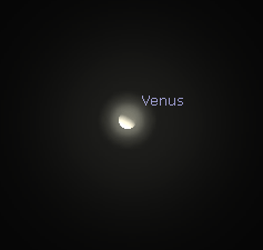 Telescopic Venus