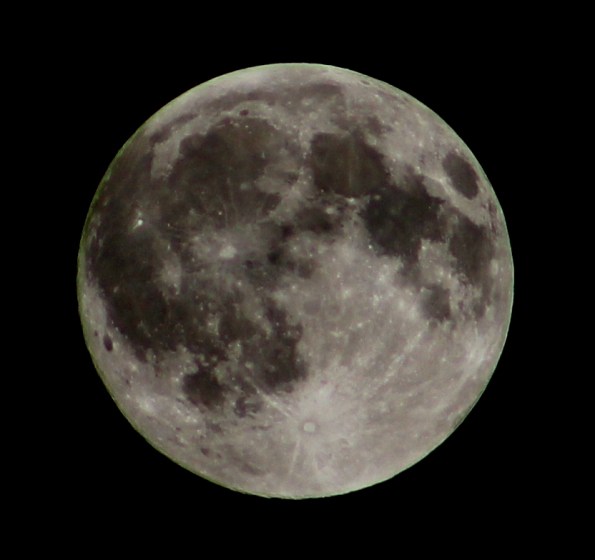 High contrast full Moow