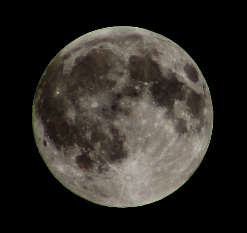 High contrast full Moow