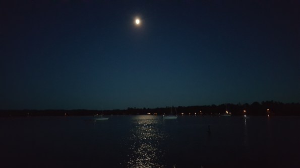 Moonlight on the bay