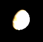 Telescopic Venus