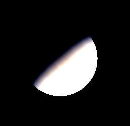 Telescopic Venus