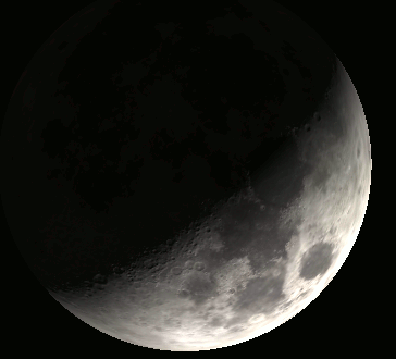 The Rabbit in the Moon