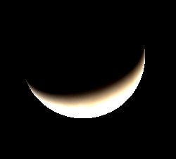 Telescopic Venus