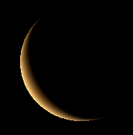 Telescopic Venus