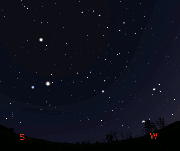 Finding Leo the lion