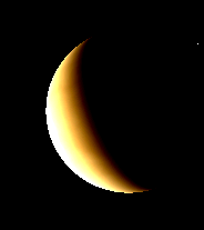 Telescopic Venus