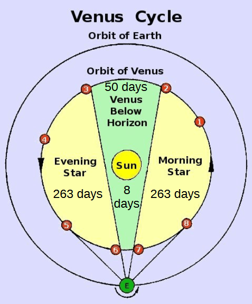 Venus Cycle