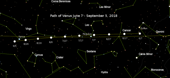 Path of Venus