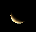 Telescopic Venus
