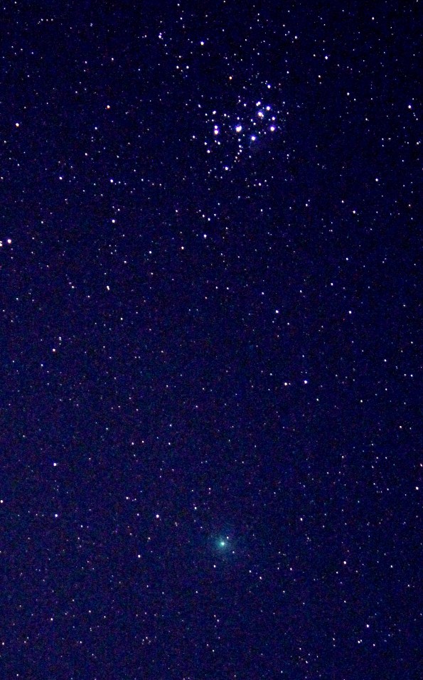 Comet Wirtanen and the Pleiades