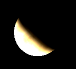 Telescopic Venus