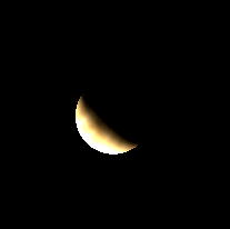 Telescopic Venus