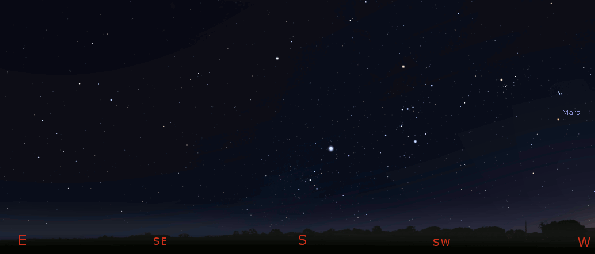 Great Underwater Panther animation