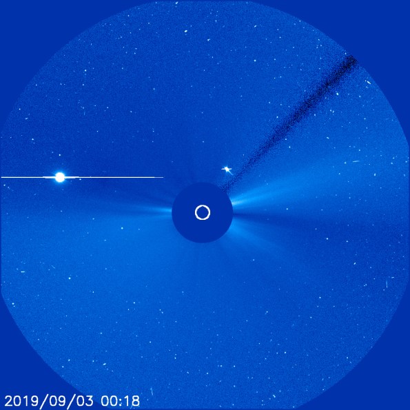 Venus and Mercury in the C2 coronagraph
