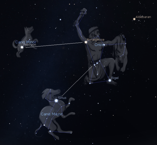 Orion and his hunting dogs