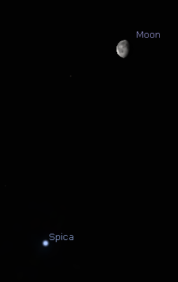 The Moon and Spica