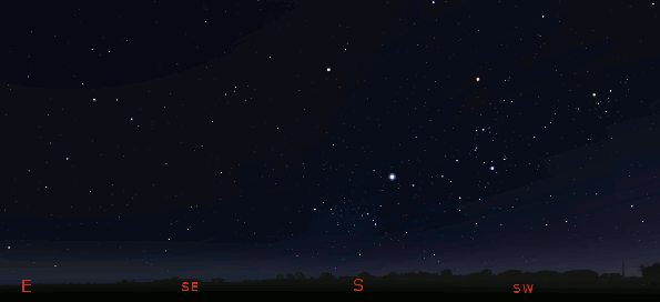 Great Underwater Panther animation_9 pm late March