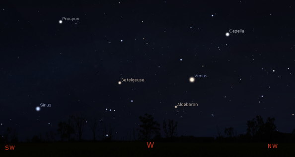 Venus in the evening