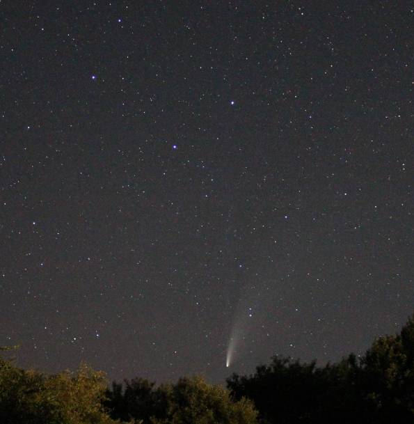 Photograph of Comet NEOWISE