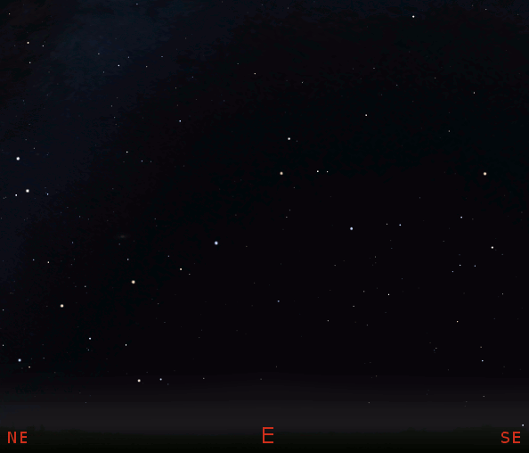 Mooz finder animation