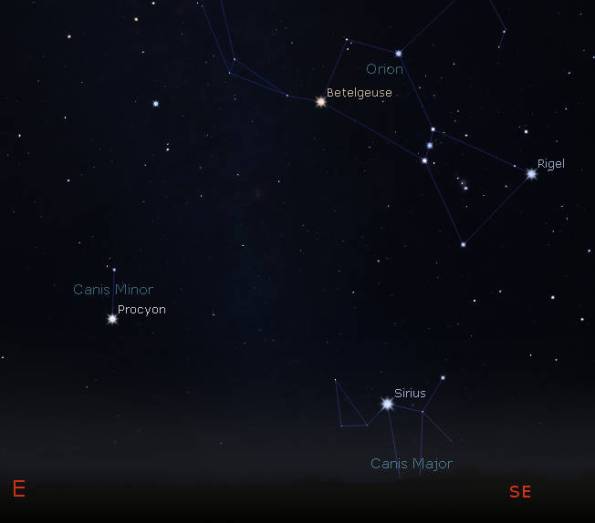 Orion and his hunting dogs in early winter