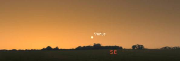 Venus in the morning twilight