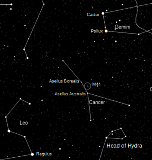 Closer look at Cancer