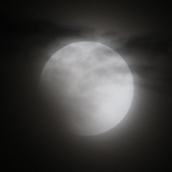 Lunar eclipse shortly after the partial eclipse began