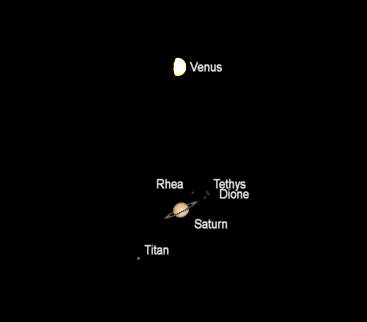 Telescopic views of Venus and Saturn