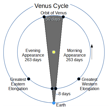 The Venus Cycle